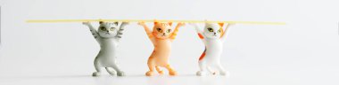 Üç komik oyuncak kedi uzun bir İtalyan spagettisi taşıyor. Yemek hazırlama ve evcil hayvanlardan yardım kavramı. Beyaz arka plan. Web pankartı
