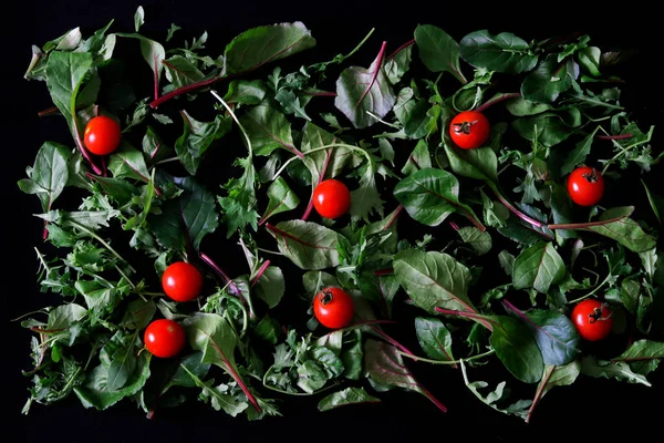 Salada Com Folhas Jovens Arugula Acelga Mizuna Tomates Cereja Vermelhos — Fotografia de Stock