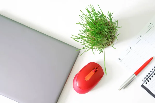 Laptop Cinza Ultrabook Mouse Computador Vermelho Caneta Tinteiro Planejador Diário — Fotografia de Stock