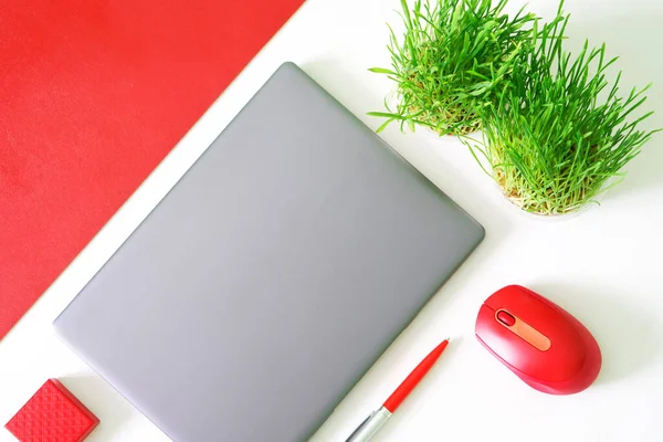 Gray Ultrabook Laptop Red Mouse Pen Gift Box Fresh Green — Fotografia de Stock
