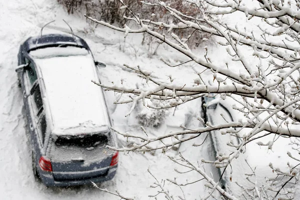 Гілки Дерева Снігу Сніговий Покритий Автомобіль Вид Зверху Снігопад Концепція — стокове фото