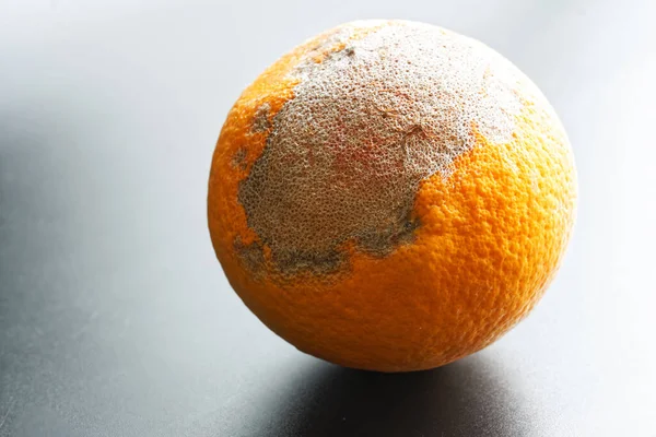 Παλιό Αποξηραμένο Πορτοκάλι Ασημί Φόντο Φαγητό Χαλάει Την Ιδέα Κοντινό — Φωτογραφία Αρχείου