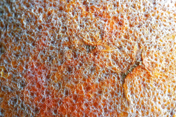Gedroogde Huid Van Een Oude Rotte Sinaasappel Creatieve Achtergrond Achtergrond — Stockfoto