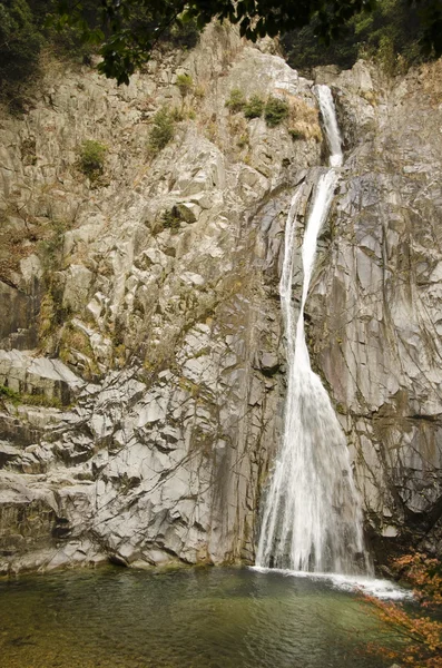 Kobe sonbaharda su — Stok fotoğraf