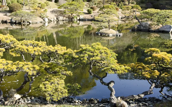 Japanischer Garten — Stockfoto