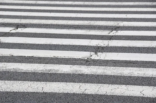 Yaya geçidi, zebra — Stok fotoğraf