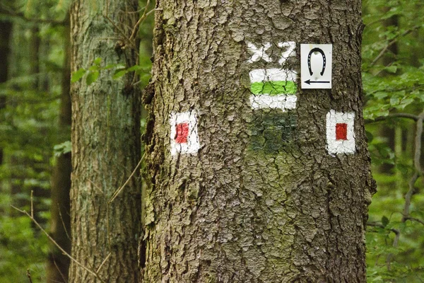 Señales de senderos forestales en Alemania —  Fotos de Stock