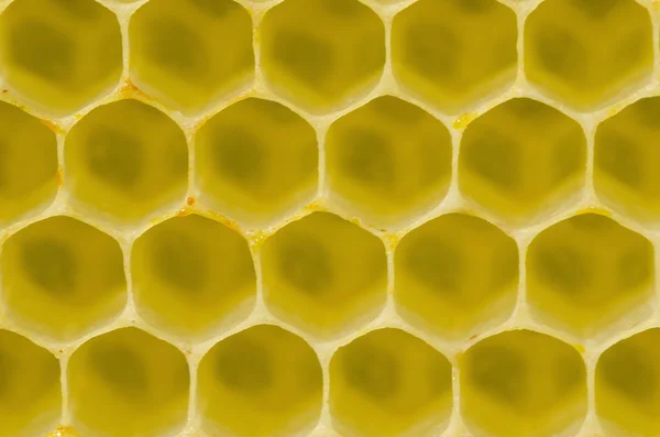 Honeycomb pattern — Stock Photo, Image