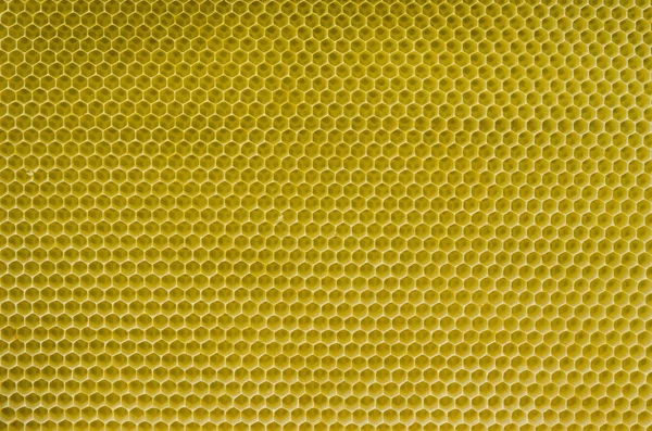 벌집 모양의 무늬 — 스톡 사진
