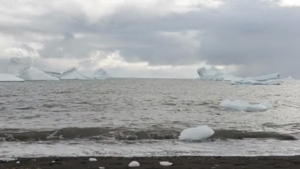 Icebergs — Video