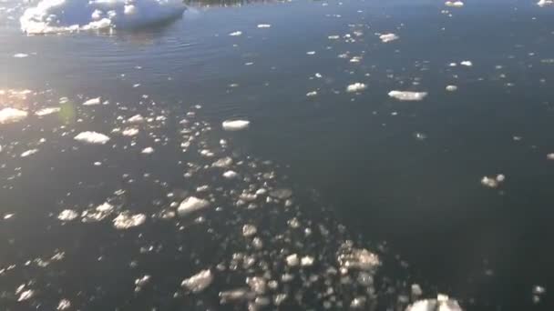 开车穿过冰在北极水域 — 图库视频影像
