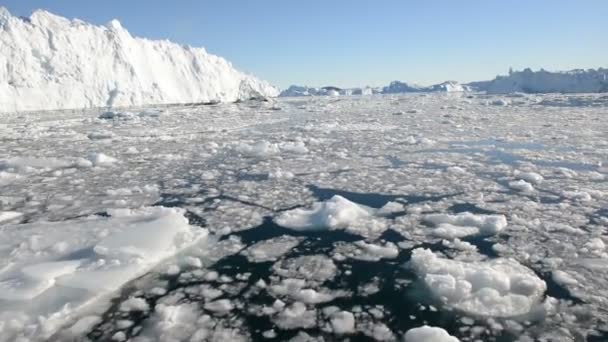Перемещение по льду в арктических водах — стоковое видео