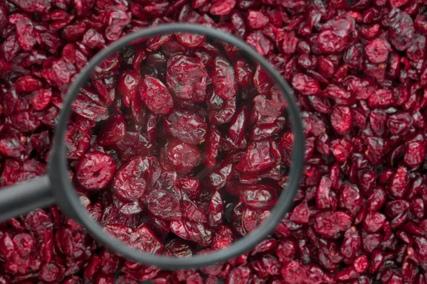 Cranberry in a magnifying glass — Stock Photo, Image