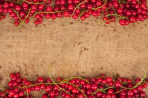 Redcurrant lying on sackcloth — Stock Photo, Image