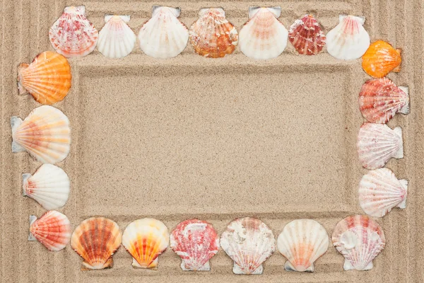 Tengeri kagylókból, homok a keret — Stock Fotó