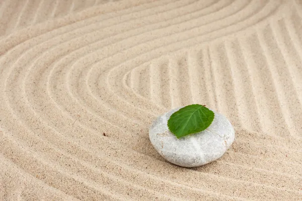 Leaf on a rock in the sand — Stock Photo, Image