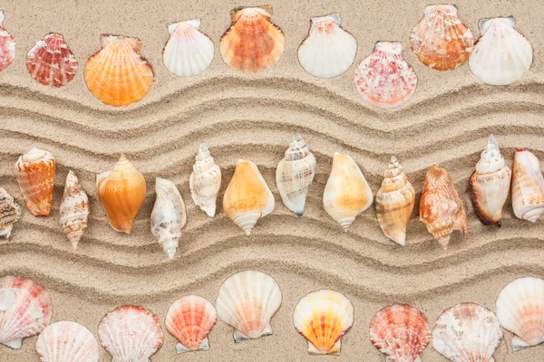 Conchas na areia Fotos De Bancos De Imagens