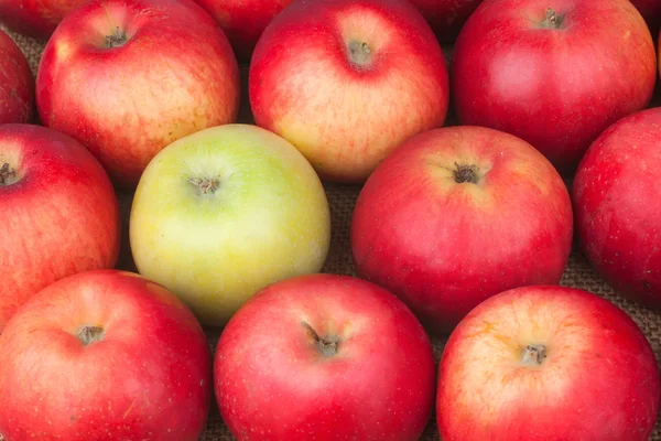 Green apple among red apples lying on sackcloth — Stock Photo, Image