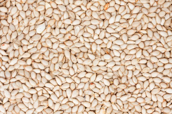 Antecedentes de sementes de abóbora — Fotografia de Stock
