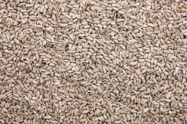 Background out of peeled sunflower seeds — Stock Photo, Image