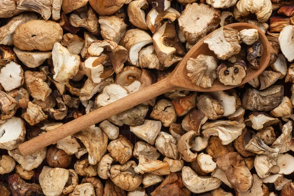 Cucchiaio di legno con funghi secchi — Foto Stock