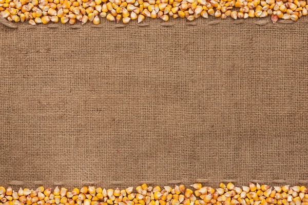 Кукуруза лежит на мешковине — стоковое фото