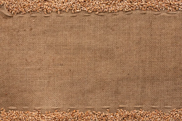 Wheat lying on sackcloth — Stock Photo, Image