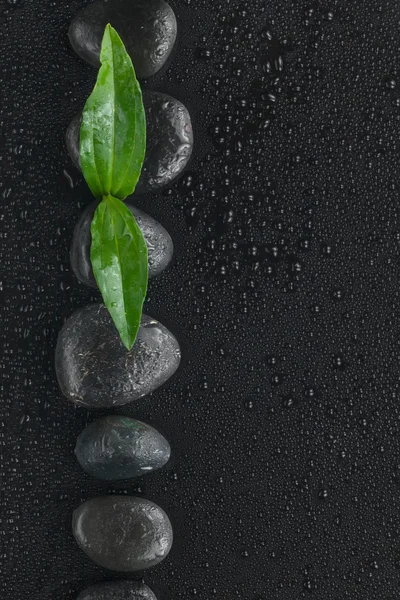 Black stones and leaf lie on a wet black background — Stock Photo, Image