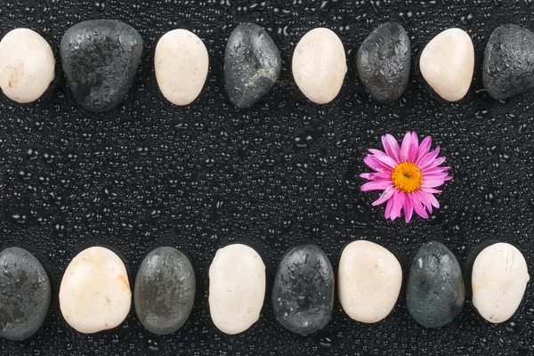 Piedras zen y flor con gotas de agua —  Fotos de Stock