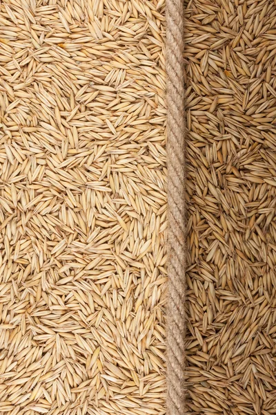 Illuminated and dark oat  and rope — Stock Photo, Image