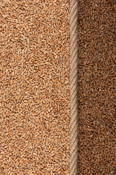 Illuminated and dark wheat  and rope — Stock Photo, Image