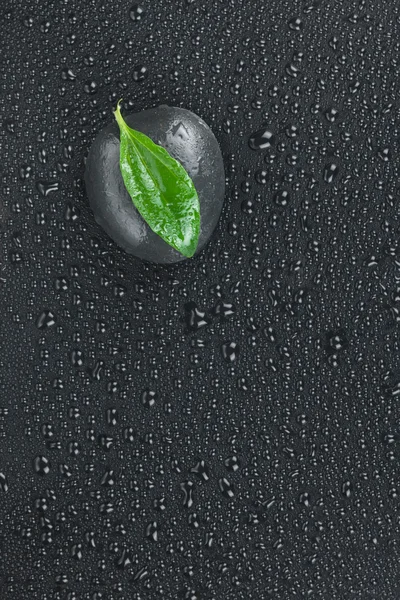 Дзен камінь і листя з краплями води — стокове фото