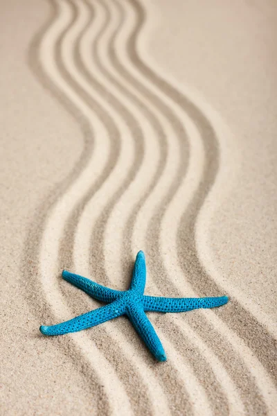 Estrella de mar acostada en la arena — Foto de Stock