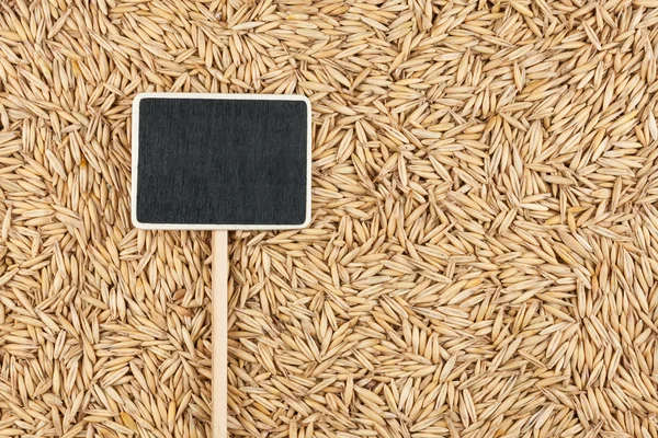 Pointer, the price tag lies on oat — Stock Photo, Image