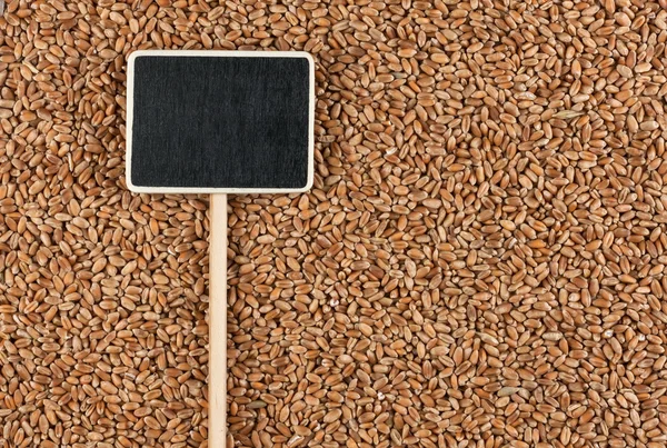 Ukazatel, cenovka leží na pšenici — Stock fotografie