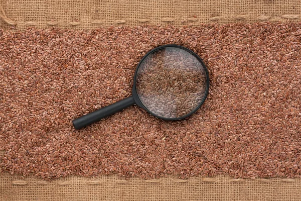 Magnifying glass lies on flax  seeds and sacking — Stock Photo, Image