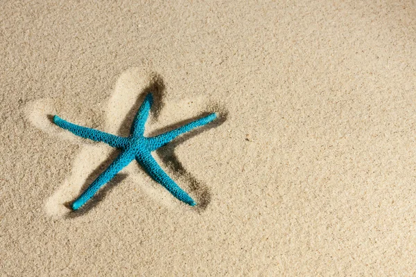 Estrella de mar acostada en la arena — Foto de Stock