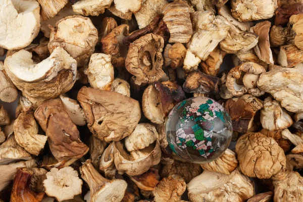 Skleněné koule na sušené houby — Stock fotografie