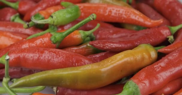Rotating heap of ripe hot peppers in water droplets. Vegetable background