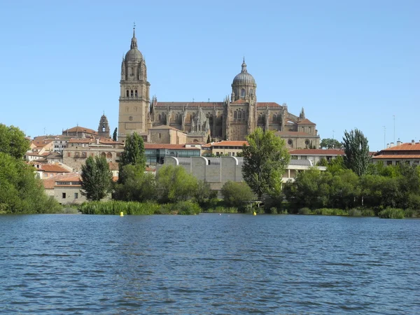 Salamanca katedrális — Stock Fotó
