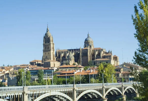 Kathedrale von Salamanca — Stockfoto