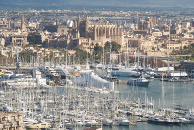 Catedral Palma de mallorca