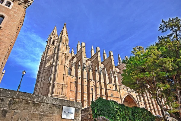 Catedral Palma de mallorca —  Fotos de Stock