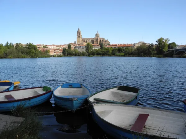 Salamanca. — Fotografia de Stock