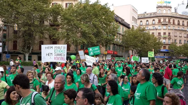 İspanya eğitim tezahürü