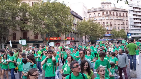 İspanya eğitim tezahürü