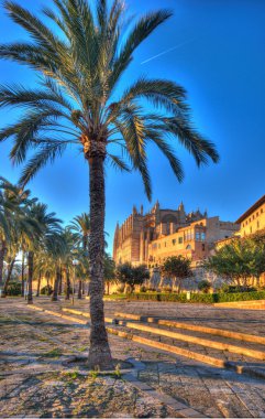 Katedral HDR Balear Adaları, palma de mallorca. İspanya