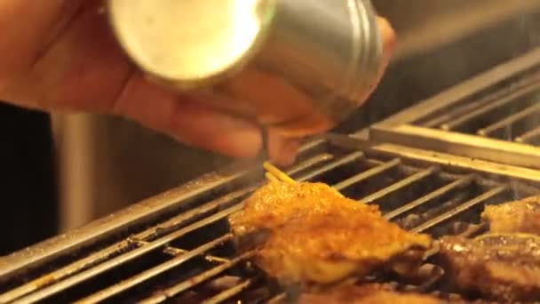 Гриль Шампуры Мясо Проволочной Сетке — стоковое видео