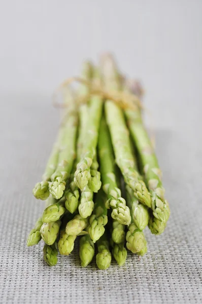 Verse asperges — Stockfoto