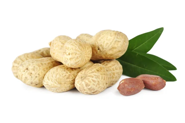 Peanuts with leaves — Stock Photo, Image